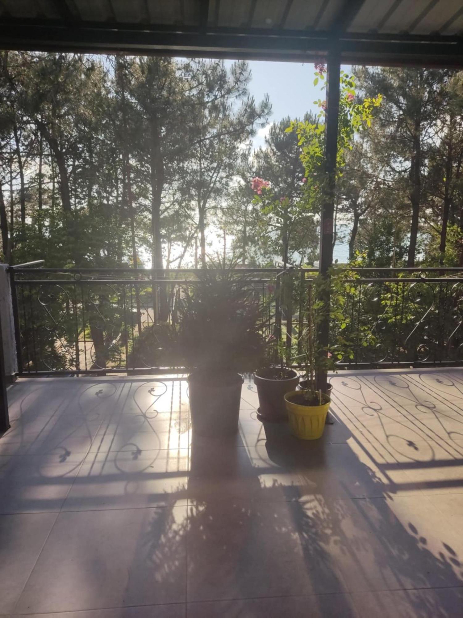 Apartment Agmashenebeli 99 Kobuleti Exteriör bild